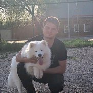 ���������, 33 ����, ����