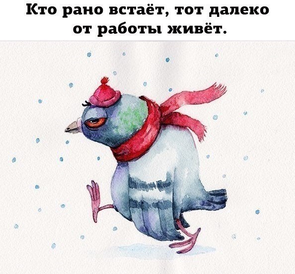    - 22  2017  03:36
