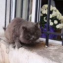 ���� ������, ������ ��������, 58 ��� - ��������� 6 ������� 2017 � ������ ���� ����������