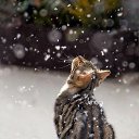 ���� �����, ��������� - ��������� 19 ������� 2017 � ������ ������ ��������