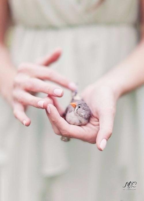 ���� � ����� - 31 ����� 2018 � 03:48 - 2