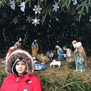 ���� ����, ������ - ��������� 7 ������ 2018 � ������ ���� ����������