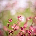 ���� �������, �������-���������� - ��������� 6 ��� 2018 � ������ ���� ����������