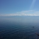 ���� �����, ������� - ��������� 14 ������ 2018 � ������ �������