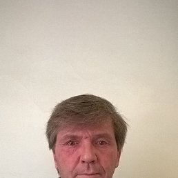 , 56 , 
