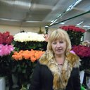 ���� �����, ������ - ��������� 28 ������ 2018 � ������ ���� ����������