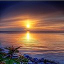 ���� ����, ������ - ��������� 29 ��� 2018 � ������ ���� ����������