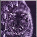 ���� Bolniski, ������� - ��������� 2 ���� 2018 � ������ ������ ��������