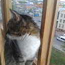  Saturn,  -  12  2018   