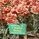  . 23.04.2018.   .          23.04.2018