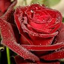 ���� 165656, �������, 37 ��� - ��������� 5 ���� 2018 � ������ ���� ����������