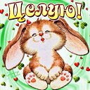 ���� �����, �����������, 56 ��� - ��������� 21 ���� 2018 � ������ ���� ����������