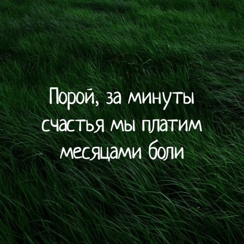 ��������� - 5 ����� 2018 � 18:51 - 77