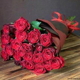 �, ������������