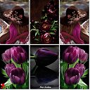 ���� �����, ����������, 54 ���� - ��������� 13 ���� 2018 � ������ ������ ��������