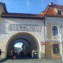 ���� ���������, �����������, 69 ��� - ��������� 17 ������ 2018 � ������ ���������.������ ������ .������� ����� 2018�