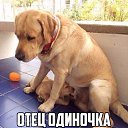 ���� Theusip, �������, 39 ��� - ��������� 3 ������� 2017 � ������ ������ ��������