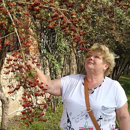 ���� ������, �������, 70 ��� - ��������� 16 ������� 2017