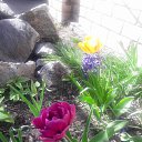 ���� Valentina, ��������������, 60 ��� - ��������� 26 ������ 2018 � ������ ������ ��������