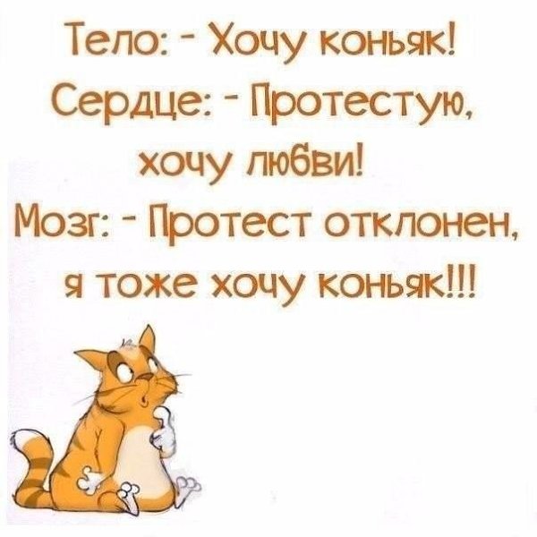 ������ - 31 ����� 2018 � 20:28