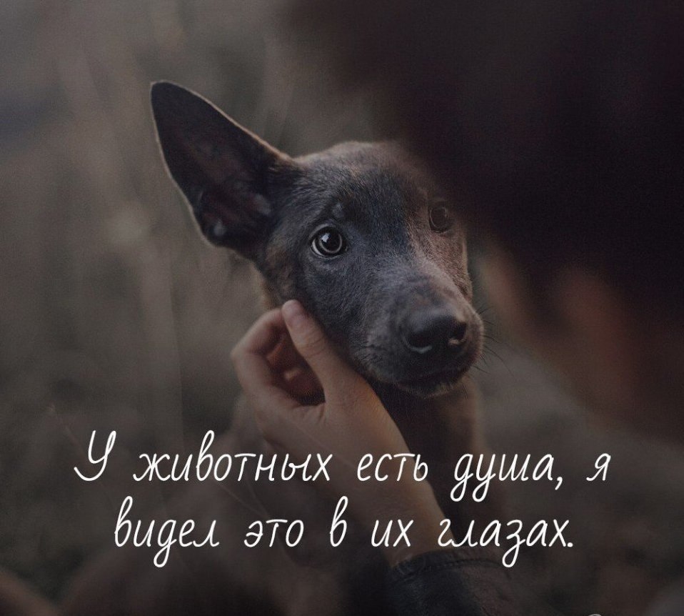 ...    ,    