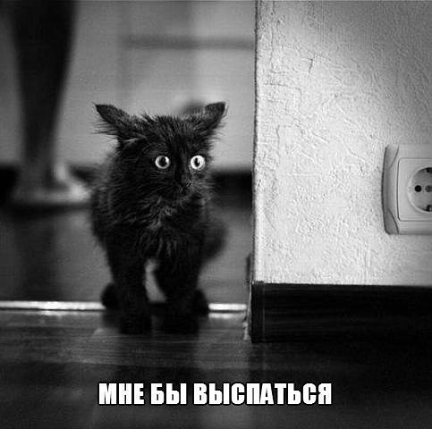    .......    ........ -        ...