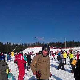 ����, ����, 54 ����