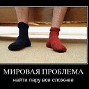 ���� ���, �����-��������� - ��������� 2 ������� 2018 � ������ ������ ��������