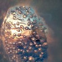 ���� �������, ��������, 41 ��� - ��������� 31 ������� 2017 � ������ �����