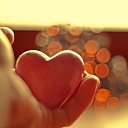 ���� ��������, ���������, 47 ��� - ��������� 14 ������� 2018 � ������ ������ ��������