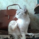 ���� �������, ���������, 54 ���� - ��������� 12 ������� 2018 � ������ ��������Ȼ