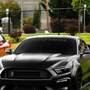 ���� �����, �����������, 43 ���� - ��������� 31 ����� 2018 � ������ ���� ����������