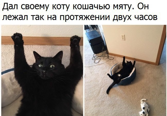       - 5  2018  02:47