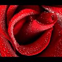 ���� �������, �����-���������, 52 ���� - ��������� 10 ������� 2018 � ������ ���� ����������