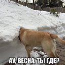 ���� ������, ��������, 52 ���� - ��������� 13 ����� 2018 � ������ ������ ��������