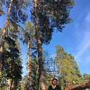 ���� �������, �������, 58 ��� - ��������� 12 ��� 2018 � ������ ���� ����������