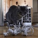 ���� ��������, ������, 43 ���� - ��������� 25 ������ 2017 � ������ ������ ��������