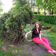 ����, , �������