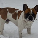 ���� ������, ��������, 48 ��� - ��������� 10 ������� 2017 � ������ �����!!!�