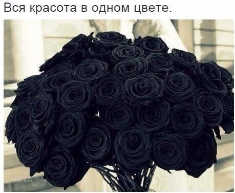 Art & Fun - 31  2018  03:43