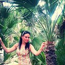 ���� ���������, ������ - ��������� 17 ������ 2018 � ������ ���� ����������