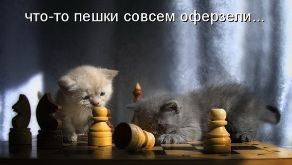    - 8  2018  03:59