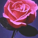 ���� ����, ������-��-����, 54 ���� - ��������� 28 ���� 2018 � ������ ���� ����������