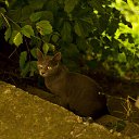 ���� Be@, ���� - ��������� 29 ������� 2017 � ������ �random pics�