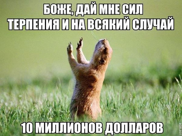    :D - 29  2018  04:00