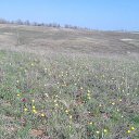  Olga, , 50  -  4  2018    