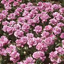  . 23.04.2018.   .          23.04.2018