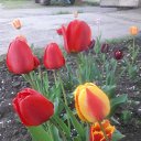 ���� Valentina, ��������������, 60 ��� - ��������� 26 ������ 2018 � ������ ������ ��������