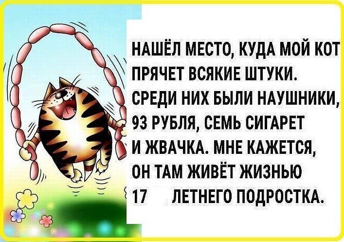    - 1  2017  04:49 - 2