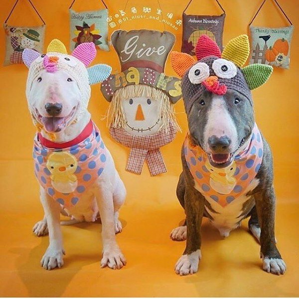 Последняя неделя, последний рывок! Доброго утра, Буле-Городок, бодрого понедельника